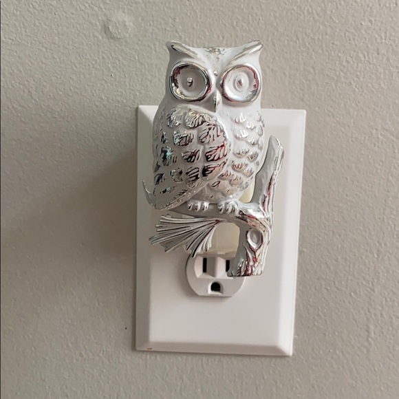 White and Silver Owl Wallflower